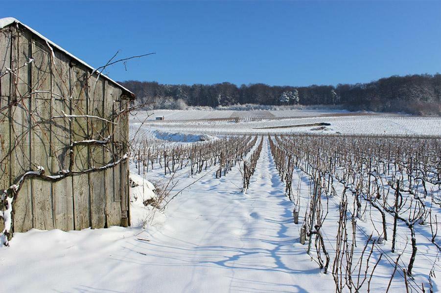 Roulotte La Dominique Bed and Breakfast Romery  Exteriör bild